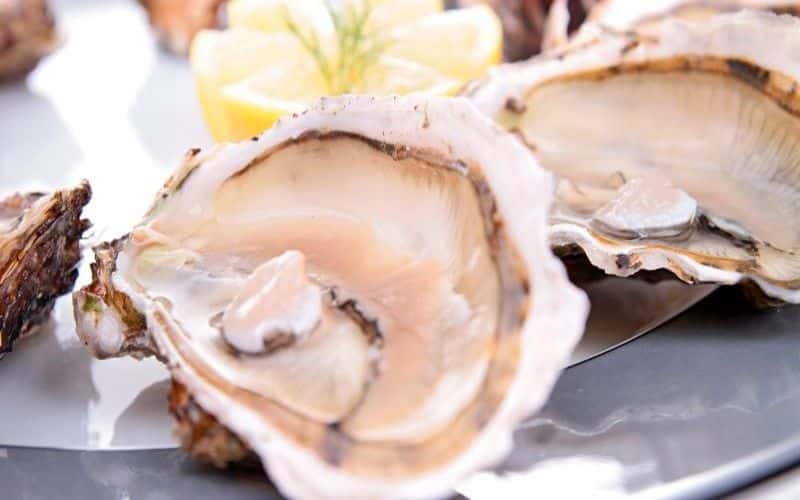 Bột hàu biển - Khám phá 5 công dụng tuyệt vời và ưu điểm vượt trội 29 bot-hau-bien-mevina