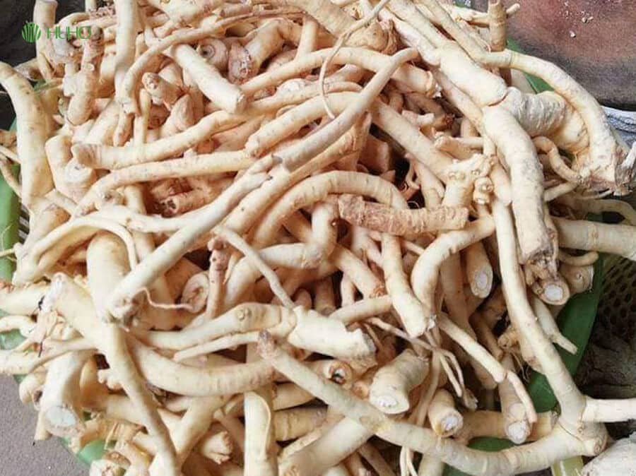 Cách nấu cao đinh lăng chất lượng tại nhà - Hướng dẫn sử dụng và bảo quản 6 Cách nấu cao đinh lăng chất lượng tại nhà - Hướng dẫn sử dụng và bảo quản
