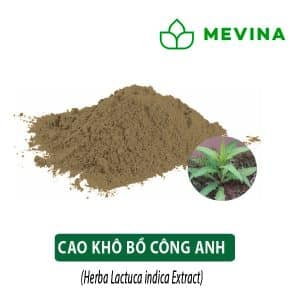 cao-bo-cong-anh-mevina-1