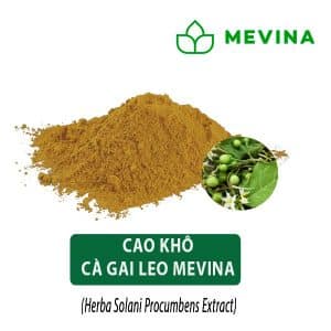 cao ca gai leo 1