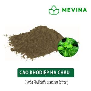 cao-diep-ha-chau-mevina-1