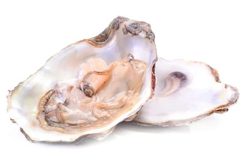 Chiết Xuất Hàu Biển Khám Phá Công Dụng Tuyệt Vời và Ưu Điểm Vượt Trội 11 chiet-xuat-hau-bien-mevina