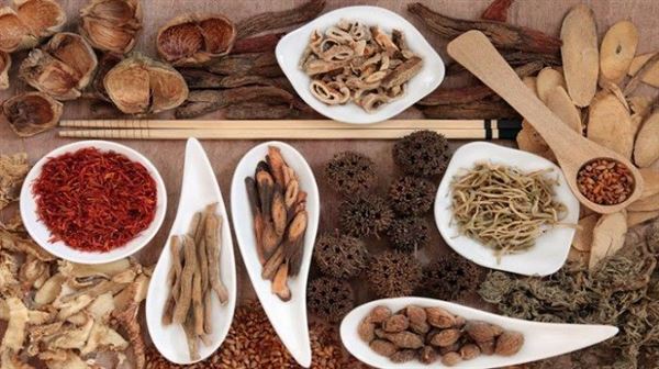 Danh sách đầy đủ các loại cây dược liệu phổ biến từ A đến Z