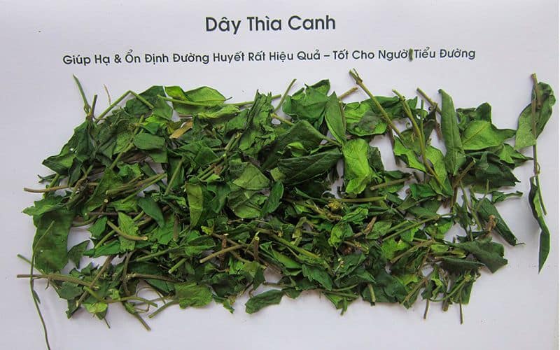 day-thia-canh-ban-o-dau-1 day-thia-canh-ban-o-dau-1