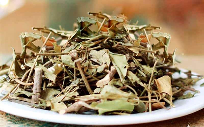 day-thia-canh-kho-gia-bao-nhieu-1
