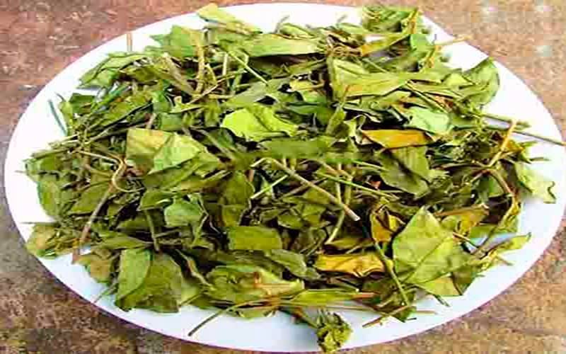 day-thia-canh-kho-gia-bao-nhieu