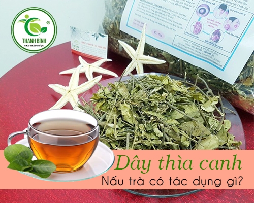Trà Dây Thìa Canh Loại Nào Tốt? Tiêu Chí Đánh Giá & Top 5 Thương Hiệu 5 Trà Dây Thìa Canh Loại Nào Tốt? Tiêu Chí Đánh Giá Top 5 Thương Hiệu