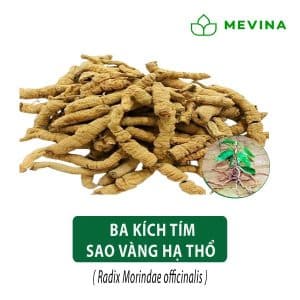 ba-kich-tim-say-kho-sao-vang-ha-tho