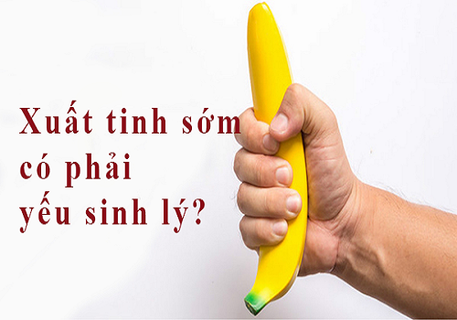 Bí Mật Giải Mã Xuất Tinh Sớm Có Phải Yếu Sinh Lý Không? 5 Sự Thật Giải Pháp Từ Trà Ba Kích