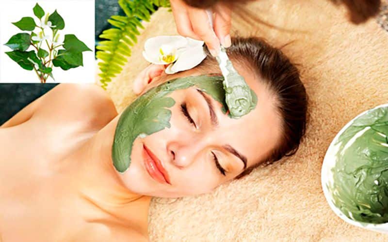 5 cách sử dụng bột diếp cá đắp mặt