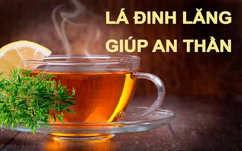 Công dụng của lá đinh lăng Tác dụng, cách sử dụng và bảo quản 7 cong-dung-cua-la-dinh-lang