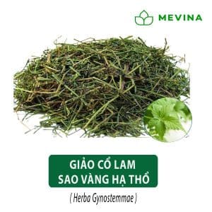 giao-co-lam-kho-sao-vang-ha-tho-1
