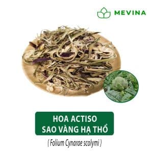 Hoa Atiso sấy khô sao vàng hạ thổ
