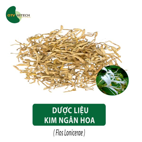 Kim ngân hoa - Đặc điểm, cách sử dụng, tác dụng và giá bán