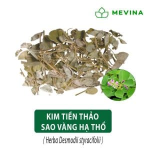 kim-tien-thao-kho-sao-vang-ha-tho