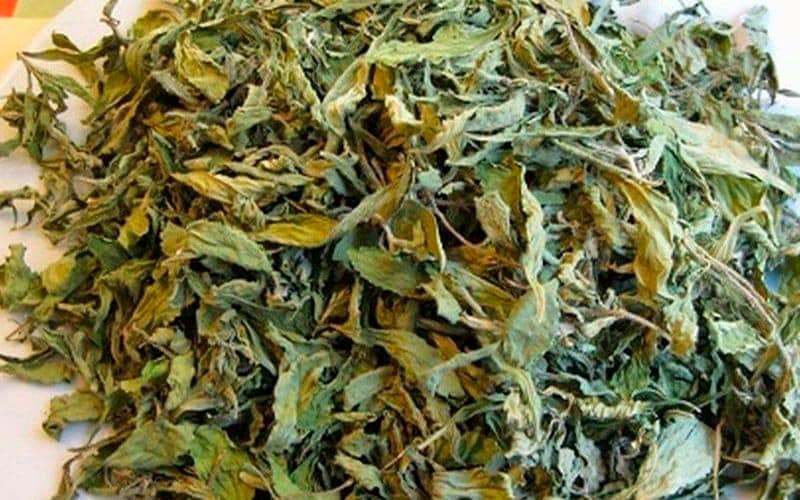 Đinh lăng lá khô có tác dụng gì