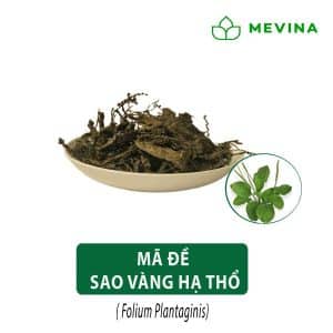ma-de-kho-sao-vang-ha-tho