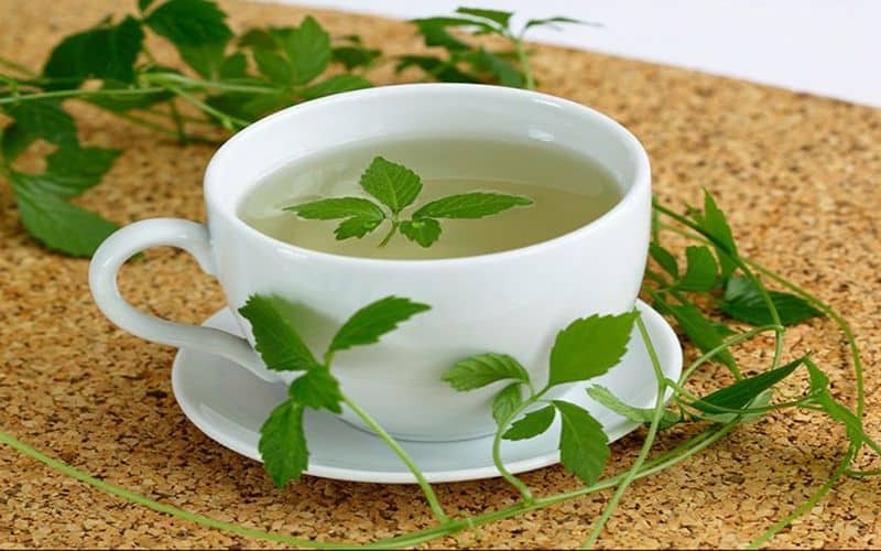 tác dụng của trà giảo cổ lam cải thiện chức năng tim mạch, tăng cường trí nhớ, chống lão hóa,