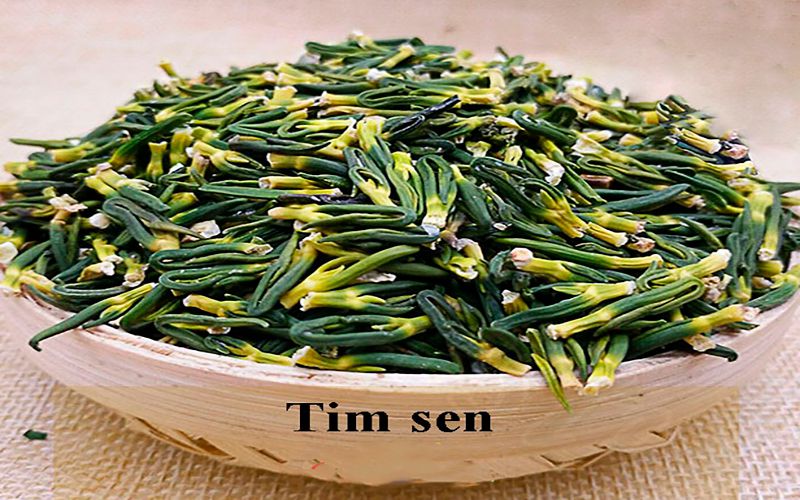 tam-sen-co-tac-dung-gi