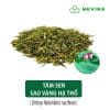 tam-sen-kho-sao-vang-ha-tho-1