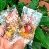 tra-duong-nhan-7-vi-2