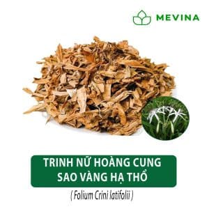 trinh-nu-hoang-cung-kho-sao-vang-ha-tho