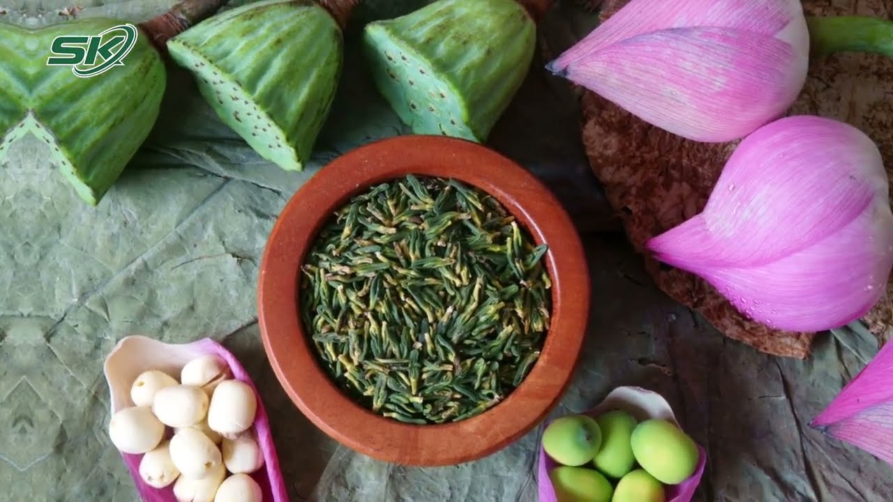 Uống Trà Tâm Sen Vào Lúc Nào Để Nâng Cao Sức Khỏe 6 Uống Trà Tâm Sen Vào Lúc Nào Để Nâng Cao Sức Khỏe