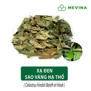 xa-den-kho-sao-vang-ha-tho-1
