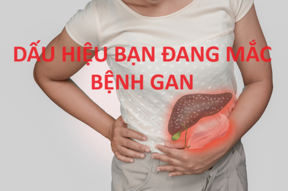 Dấu hiệu gan nhiễm mỡ 5 Dấu Hiệu Nhận Biết Gan Nhiễm Mỡ Đừng Bỏ Qua