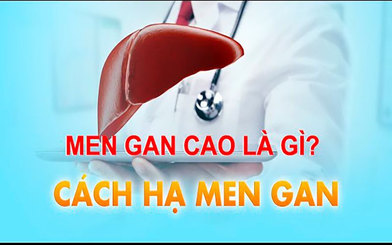 cach-ha-men-gan