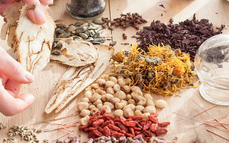 điều trị gan nhiêm mỡ điều trị gan nhiêm mỡ bằng thảo dược