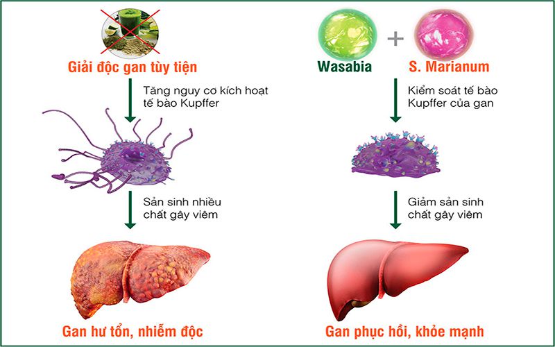 giai-doc-gan giai-doc-gan