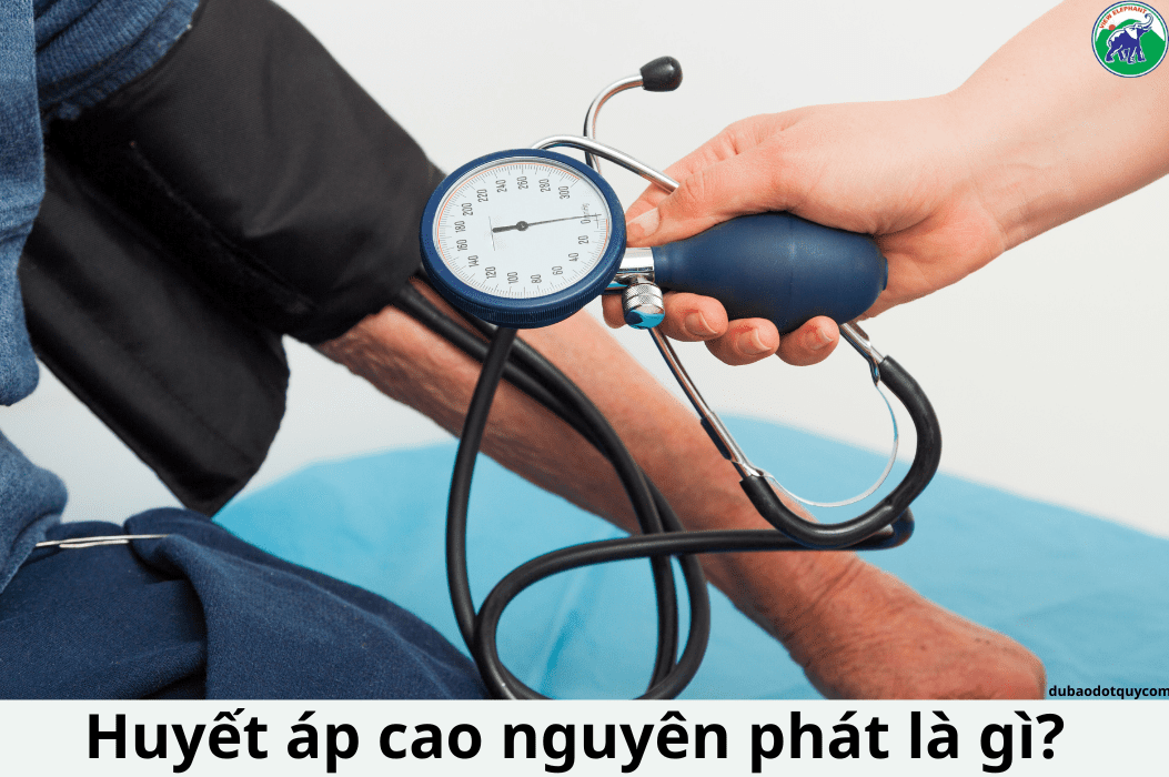 nguyen nhan huyet ap cao 667fcdcb472f0