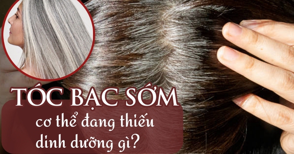tóc bạc sớm Tóc bạc sớm Nguyên nhân, triệu chứng và cách khắc phục hiệu quả