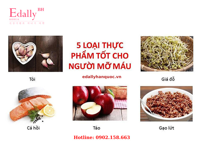 Máu nhiễm mỡ nên ăn gì Thực phẩm nên hạn chế và lưu ý khi ăn uống 5 Máu nhiễm mỡ nên ăn gì Thực phẩm nên hạn chế và lưu ý khi ăn uống