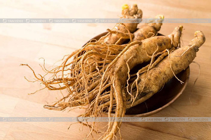 Top 5 thảo dược tăng cường sinh lực phái mạnh được chuyên gia khuyên dùng 9 Top 5 thảo dược tăng cường sinh lực phái mạnh được chuyên gia khuyên dùng
