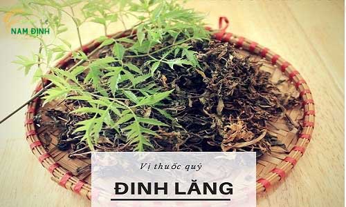 la dinh lang ho tro dieu tri tieu duong hieu qua 66febce118b89